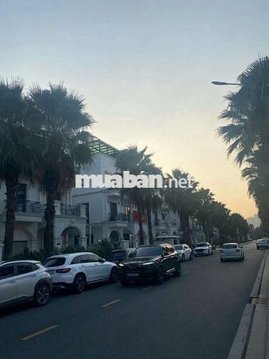 Cho thuê đơn lập Hải âu 1 297 m² giá 30 triệu Vinhomes ocean park GL