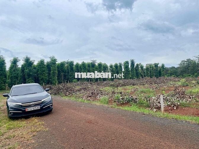 View sông Ray, 3 sào 55m đường nhựa!