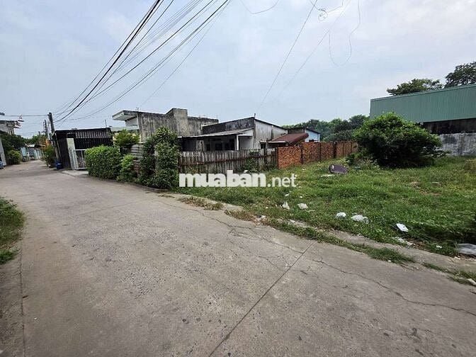 Đất đẹp kdc Tứ Hải gần ngã tư Chiêu Liêu trường cấp 1 2.3 và Biconsi