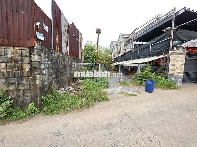 Đất đẹp kdc Tứ Hải gần ngã tư Chiêu Liêu trường cấp 1 2.3 và Biconsi