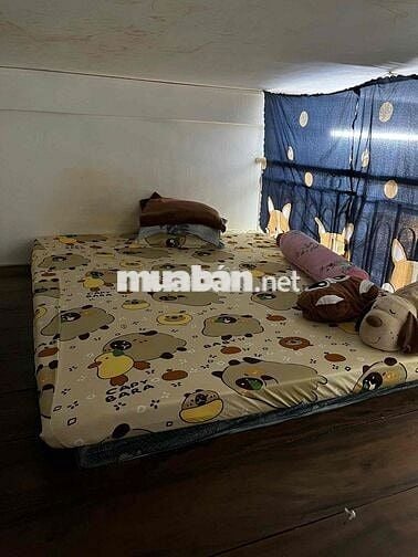 Căn hộ 342 Chung cư Bàu Cát 1, đường Bàu Cát 6, Tân Bình - 32m2 có gac