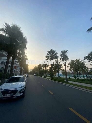 Cho thuê đơn lập Hải âu 1 297 m² giá 30 triệu Vinhomes ocean park GL