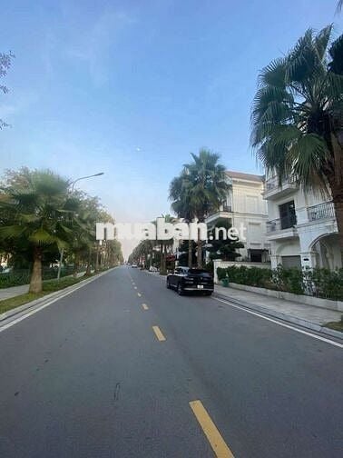 Cho thuê đơn lập Hải âu 1 297 m² giá 30 triệu Vinhomes ocean park GL