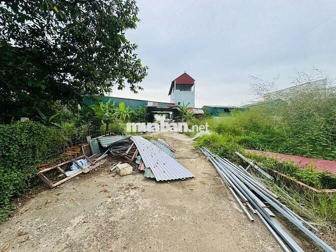 Bán đất đấu giá Điếm Tổng- Tân Ước- Thanh Oai , giáp khu D  Olympic