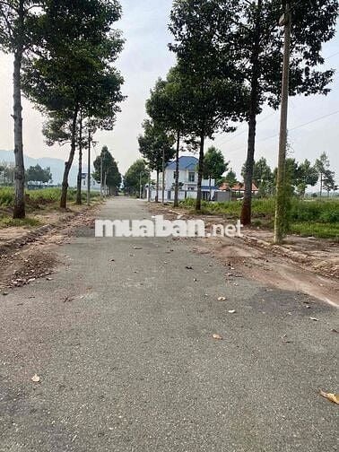 Chính Chủ cần bán nền Biệt Thự Lan Anh 2