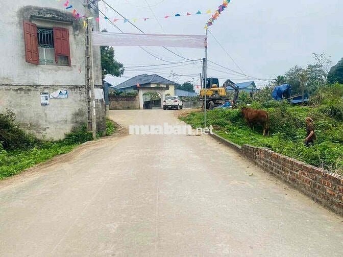 Chính chủ nhờ bán lô đất 120m full odt phường Phổ Yên