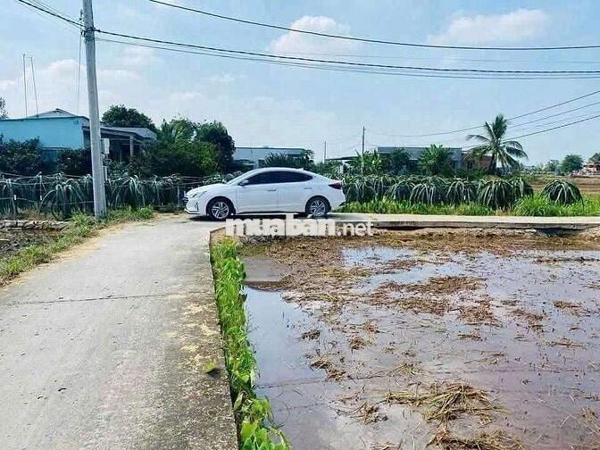 🌿🌿 CHÍNH CHỦ GỬI BÁN ĐẤT THỔ CƯ – ĐỨC TÂN, TÂN TRỤ, LONG AN