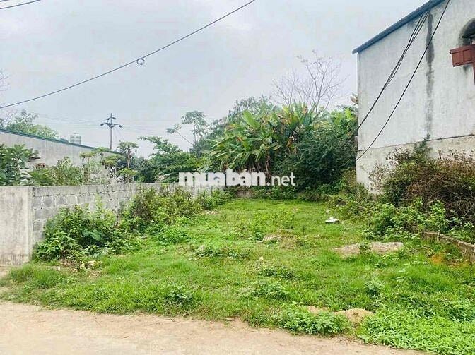 Chính chủ nhờ bán lô đất 120m full odt phường Phổ Yên