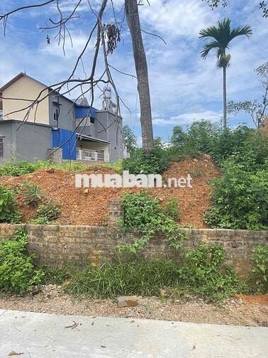 🌿 BÁN LÔ ĐẤT ĐẸP XÃ THÀNH CÔNG – GẦN TRUNG TÂM PHỔ YÊN CHỈ 5KM 🌿