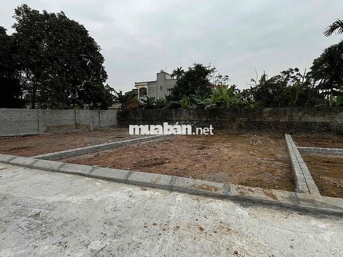 Chủ cần tiền bán căt lỗ 97,1m2 đất full thổ cư