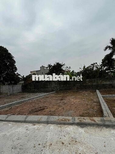 Chủ cần tiền bán căt lỗ 97,1m2 đất full thổ cư