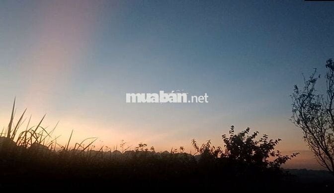 Cực hiếm ở Mộc Châu: 1,9 hecta 1 suối 4 mó nước quanhnăm 1 đồi săn mây