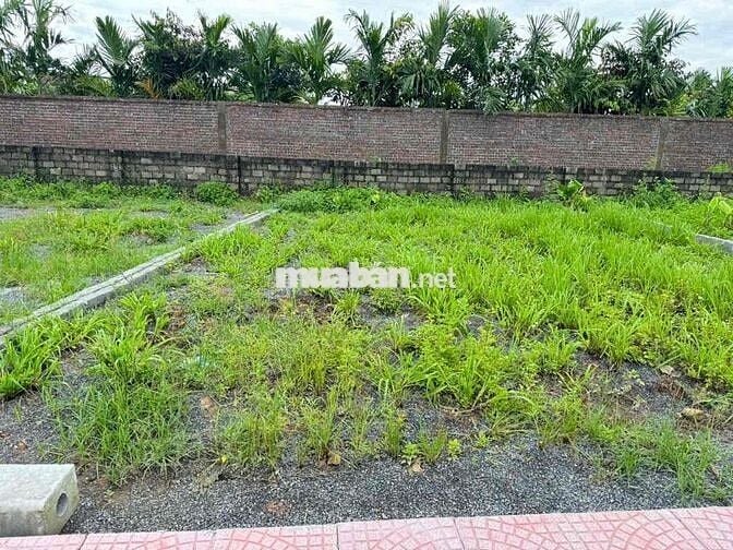 Cần bán 93 m2 đất full thổ cư, đường oto tránh nhau