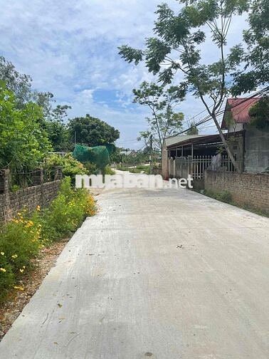 🌿 BÁN LÔ ĐẤT ĐẸP XÃ THÀNH CÔNG – GẦN TRUNG TÂM PHỔ YÊN CHỈ 5KM 🌿