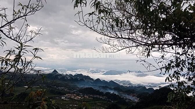 Cực hiếm ở Mộc Châu: 1,9 hecta 1 suối 4 mó nước quanhnăm 1 đồi săn mây