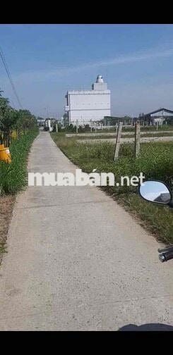 BÁN ĐẤT THỔ CƯ GẦN UỶ BAN XÃ TÂN TRUNG