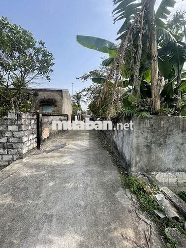 Bán đất thích hợp xây nhà vườn