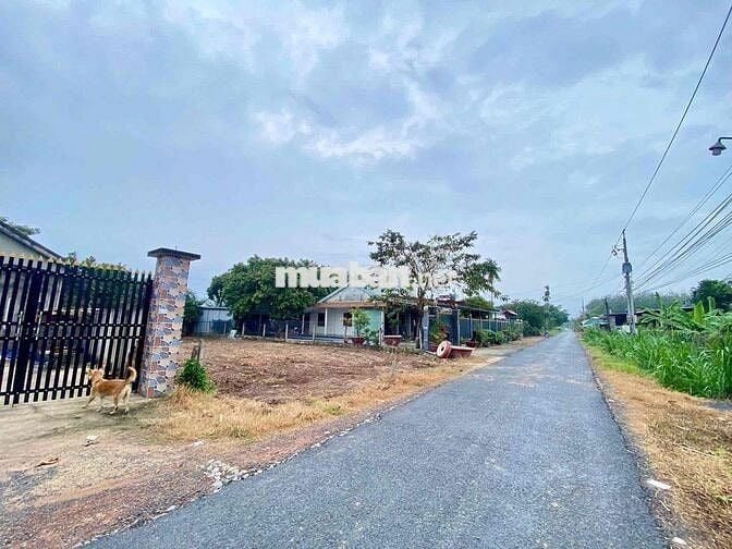 Chủ Ngộp Cần Bán Gấp Lô Đất 600tr sang tên công chứng