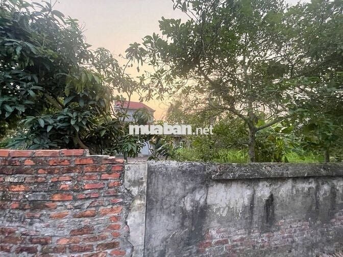 Bán đất thích hợp xây nhà vườn