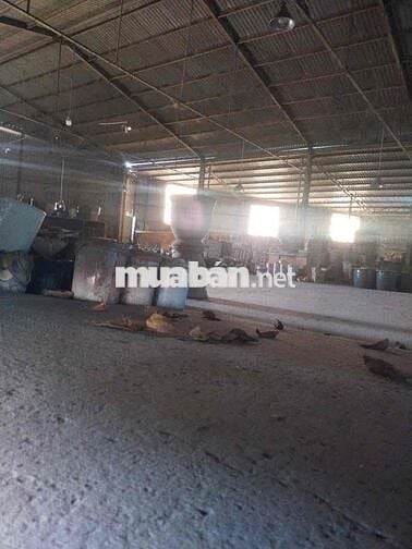 Xưởng Thuận An 2000m/45tr Đường Cont Sân Rộng