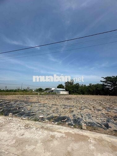 Đất gia đình cần bán , đất gò công 200m2 full thổ cư SHR 490tr