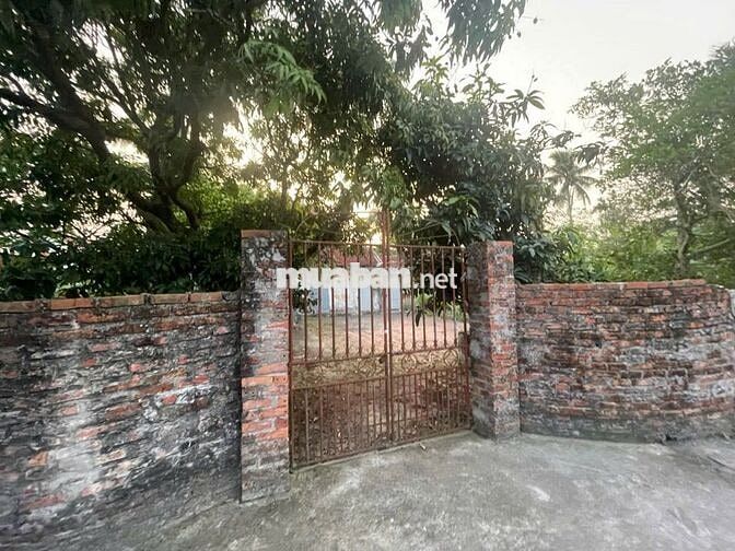 Bán đất thích hợp xây nhà vườn