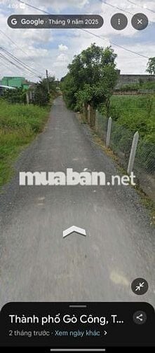 Bán đất nền thổ cư đường hai cây lim