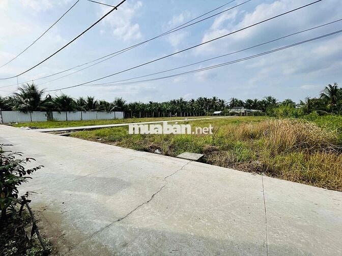 29 NỀN LIỀN KỀ, CÁCH QUẢNG TRƯỜNG MỸ THO CHỈ 500M – GIÁ CHỈ TỪ 800TR