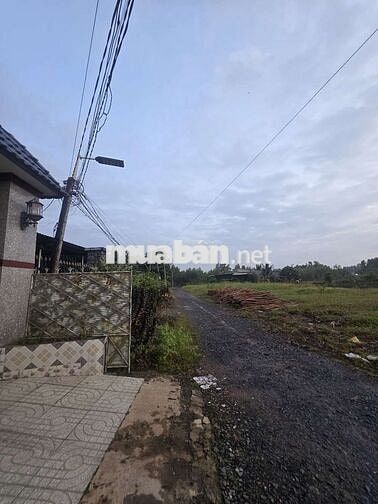 Nhà vườn gần 800m² thổ cư 100% huyện Đức huệ long an