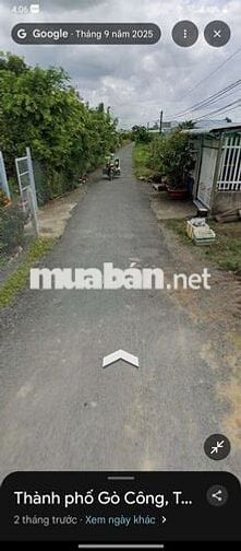 Bán đất nền thổ cư đường hai cây lim