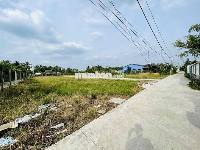 29 NỀN LIỀN KỀ, CÁCH QUẢNG TRƯỜNG MỸ THO CHỈ 500M – GIÁ CHỈ TỪ 800TR