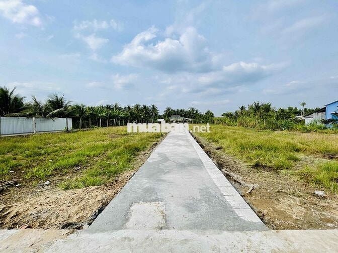 29 NỀN LIỀN KỀ, CÁCH QUẢNG TRƯỜNG MỸ THO CHỈ 500M – GIÁ CHỈ TỪ 800TR