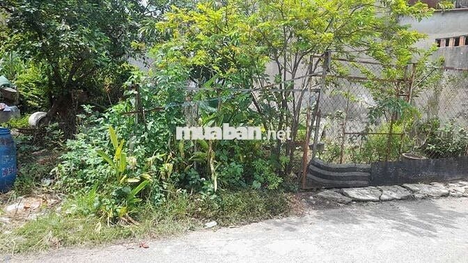 Đất MT đường nhựa Khu8, Phú Hoà, DT: 5x29, thổ cư: 60, đường rộng 5m