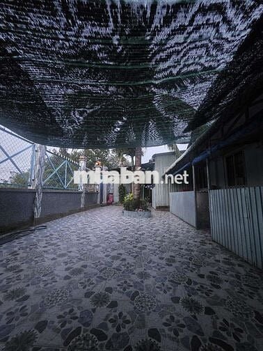 Nhà vườn gần 800m² thổ cư 100% huyện Đức huệ long an