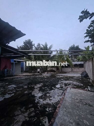 Nhà vườn gần 800m² thổ cư 100% huyện Đức huệ long an