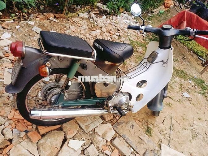 Cub 78.GTDD biển 61..