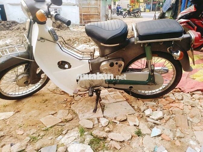 Cub 78.GTDD biển 61..