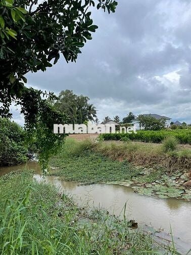 Đất 373m² có quy hoạch thổ cư, giáp rạch đẹp – giá chỉ 190 triệu