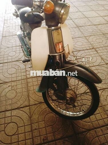 Cub 78.GTDD biển 61..