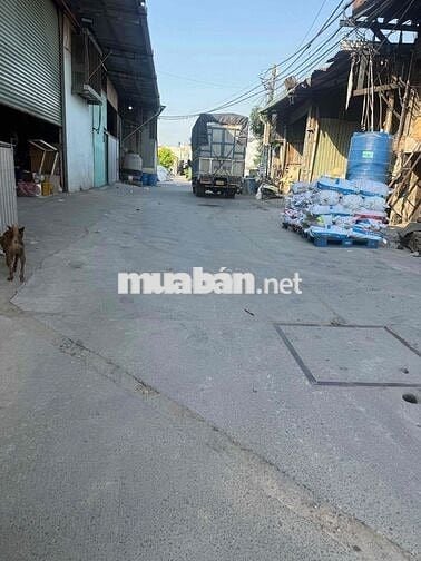 Cho thuê kho 16tr/th DT:8x38 ( Đang nâng Nền , kho cao có điện 3Fa )