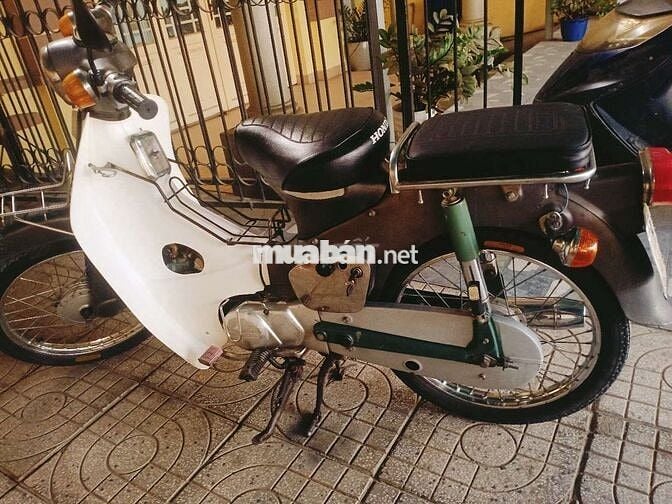 Cub 78.GTDD biển 61..