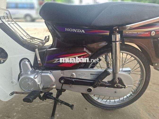 DIM HÀN QUỐC . BSTP cà vẹt đầy đủ .