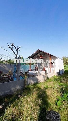 Nhà vườn quê thoáng mát, sổ riêng – chỉ 520 triệu, Tân Phú Đông