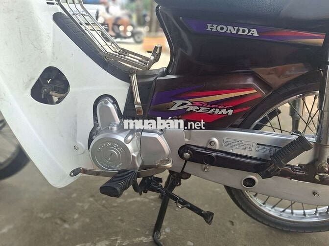 DIM HÀN QUỐC . BSTP cà vẹt đầy đủ .