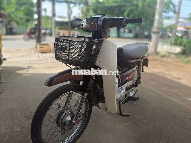 DIM HÀN QUỐC . BSTP cà vẹt đầy đủ .