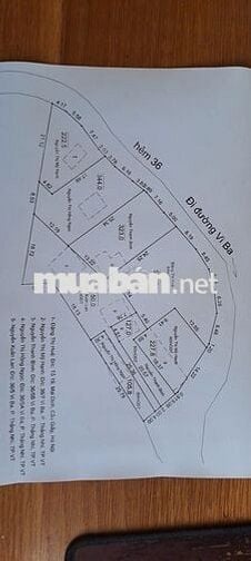 Chính chủ bán 2.300m2 đất Phường Thắng Nhì, Vũng Tàu, Bà Rịa Vũng Tàu