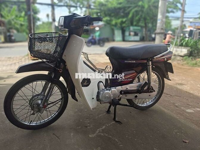 DIM HÀN QUỐC . BSTP cà vẹt đầy đủ .