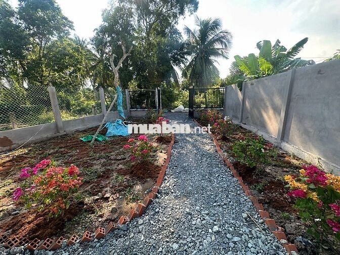 Nhà vườn quê thoáng mát, sổ riêng – chỉ 520 triệu, Tân Phú Đông