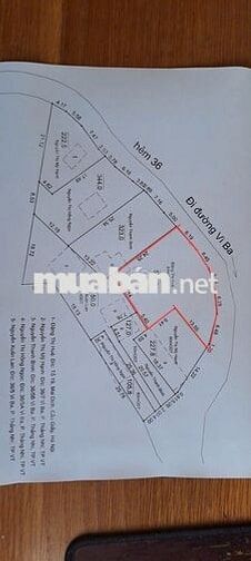 Chính chủ bán 2.300m2 đất Phường Thắng Nhì, Vũng Tàu, Bà Rịa Vũng Tàu