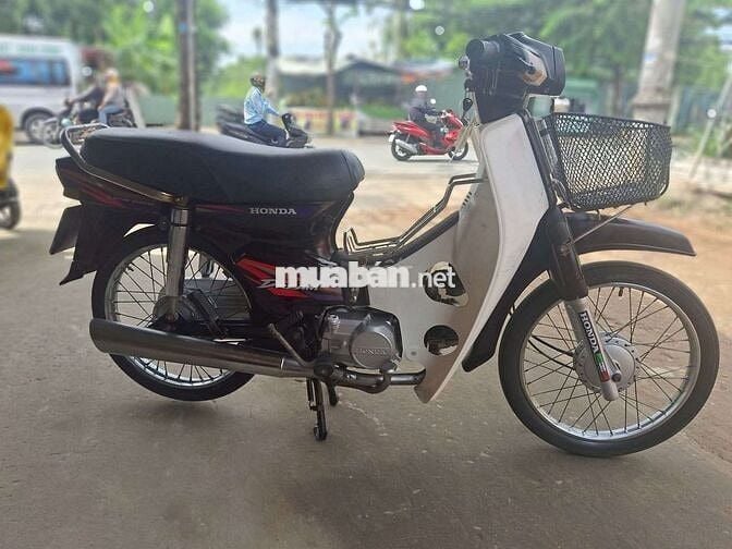 DIM HÀN QUỐC . BSTP cà vẹt đầy đủ .